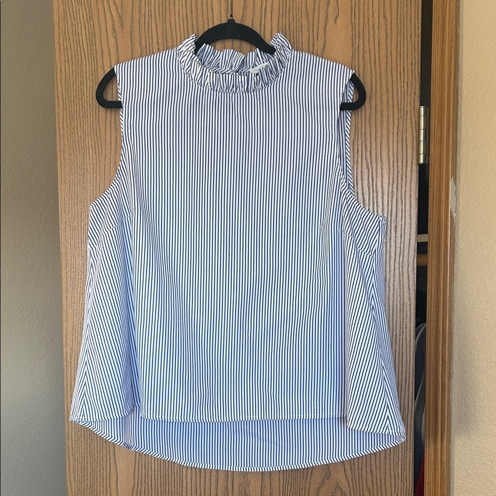 Preston & York Blue and White Striped Blouse